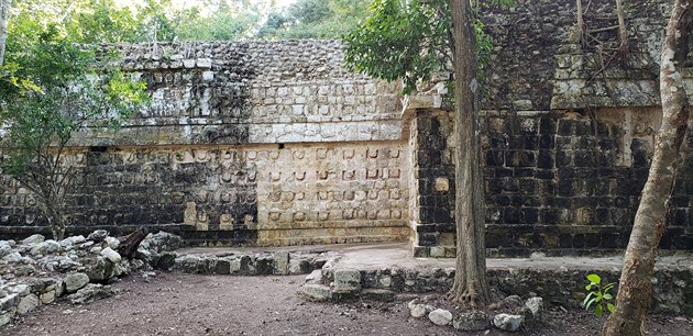 Fotogalerie: Na nalezišti Kulubá v mexickém státě Yucatán objevili pozůstatky více než 1 000...