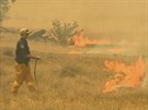 Australtí hasii bojují s niivými poáry. (21. prosince 2019)