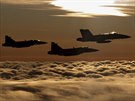 Dvojice JAS-39C Gripen eskch Vzdunch sil pi spolenm letu s F-18C...