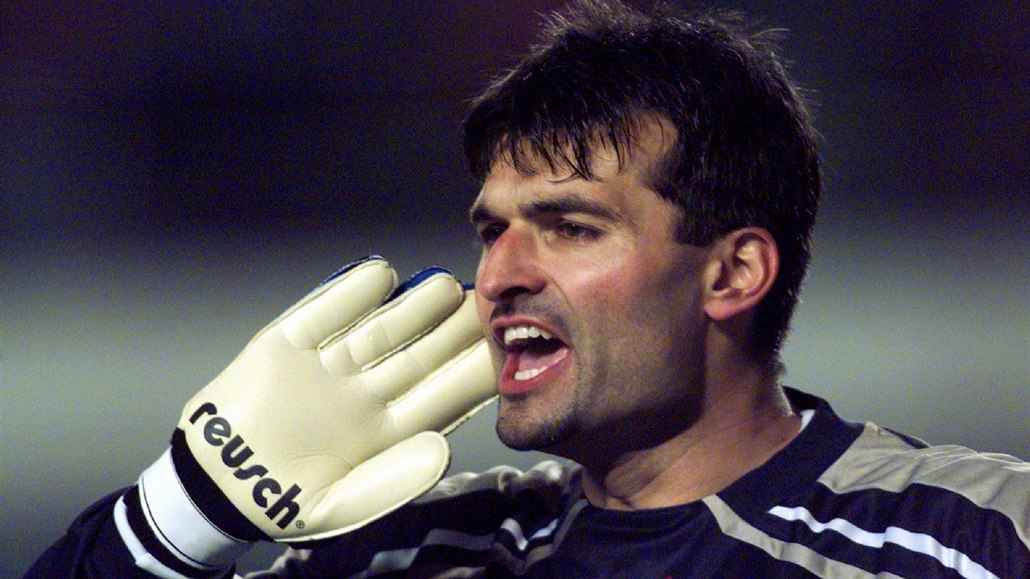 Jako reprezentační jednička odchytal Pavel Srniček Euro 2000, kde národní tým nepostoupil ze skupiny. Ve sbírce má stříbro z Anglie 1996, kde byl dvojkou za Petrem Koubou. 