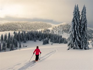 Hřeben Velké Fatry u hotelu Smrekovica. Pohled na vrch Skalná Alpa