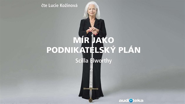 Mr jako podnikatelsk pln