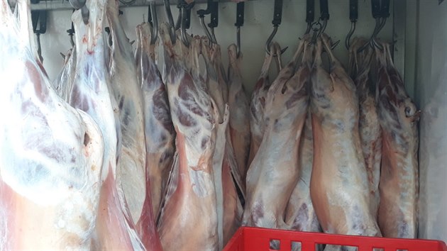 Turci v rakouské dodávce v nevyhovujících hygienických podmínkách převáželi celkem 520 kilogramů nelegálně poraženého skopového masa.