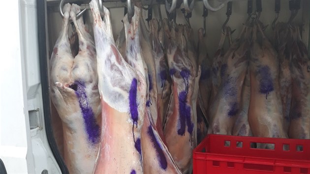 Turci v rakouské dodávce v nevyhovujících hygienických podmínkách převáželi celkem 520 kilogramů nelegálně poraženého skopového masa. Veterinář ho znehodnotil barvou.