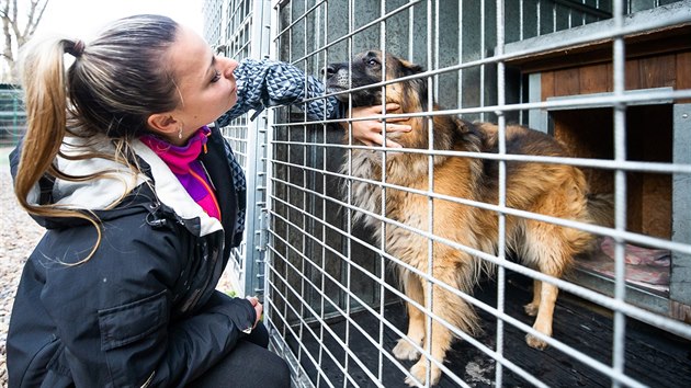 Vedouc tulku pro oputn zvata v Trutnov Karolna Beneov.