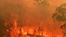 Hasii v Austrálii bojují s více ne stovkou poár. (19. prosince 2019)