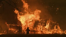 Australtí hasii bojují s plameny. (21. prosince 2019)