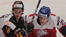 eský hokejista Jaromír Pytlík v souboji s Tarem Jentzschem z Nmecka.