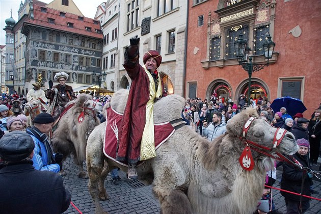 Tíkrálový prvod s velbloudy