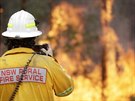 Australští hasiči bojují s požáry nedaleko Tomerongu. (8. ledna 2020)