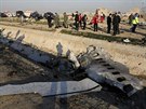 Vyetovatelé prohledávají místo nehody letadla ukrajinských aerolinek, které...