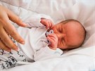 Prvním díttem narozeným v Jihoeském kraji v roce 2020 je Adam Pecha ze...