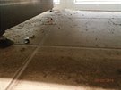 Podlaha v zázemí brněnské večerky pokrytá vrstvou prachu a myšího trusu