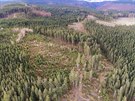 Zbry z dronu ukazuj rozpad hospodskch les na vrcholu Pedn Jestb a...