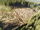 Zábry z dronu ukazují rozpad hospodáských les na vrcholu Pední Jestábí a...