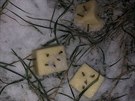 Pejska objevil v lokalit u rybníka tyi kousky sýra a v nich zapíchnuté...
