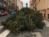 V Holeovicích - Bubnech vznikla po vánocích ze stromk obrovitá hromada.