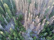 Zábry z dronu ukazují rozpad hospodáských les v okolí rezervace Suchý vrch...