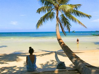 Světoznámé položené palmy na Koh Tao