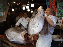 Na tradiní novoroní aukci se v japonském Tokiu prodal druhý nejdraí tuák v...