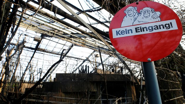 V nmeckm Krefeldu vyhoel pavilon opic. (1. ledna 2020)