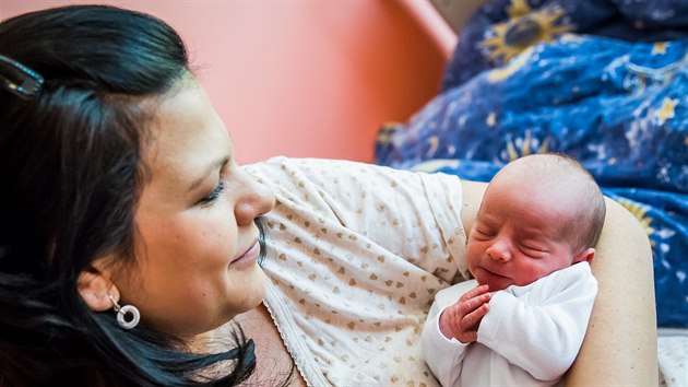 Aneta Pechov mla termn porodu 12. ledna. Admek se narodil o necelch trnct dn dv.