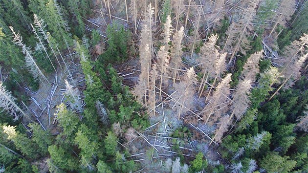 Zbry z dronu ukazuj rozpad hospodskch les v okol rezervace Such vrch na vrcholu stejnojmenn hory.