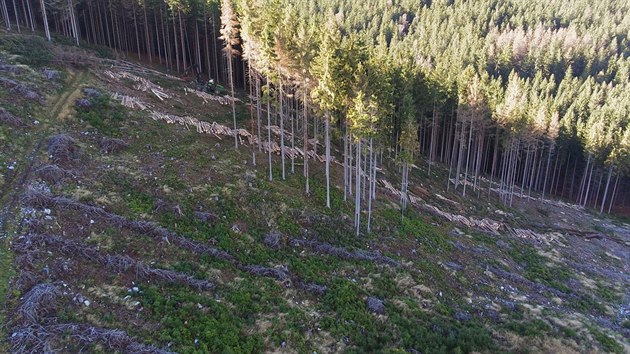 Zbry z dronu ukazuj rozpad hospodskch les v okol rezervace Such vrch na vrcholu stejnojmenn hory.
