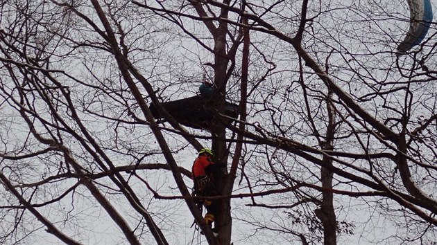 Zchrana paraglidisty z koruny asi ticetimetrovho stromu u Chvalova na Kromsku.