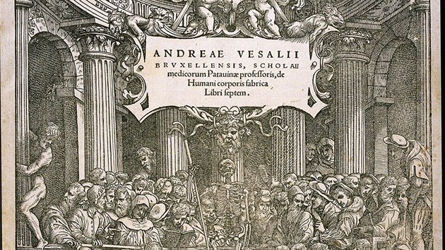 Anatomick spisy Andrease Vesalia z 16. stolet
