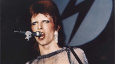 Hetrochromií trp�l i zp�vák David Bowie.
