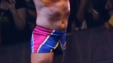 �e organizace WWF Gunna potrestala, potvrdil i Bob Holly, jeho soupe� i wrestlingov� partner.