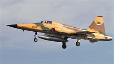 Letoun F-5 íránských vzduných sil