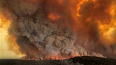 Austrálii sužují rozsáhlé požáry. (30. prosince 2019)