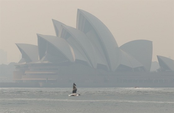 Oblohu nad Sydney asto zahaluje kou z nedalekých poár. (19. prosince 2019)