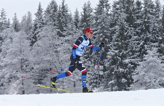 Velká ást závodních i rekreaních tratí v okolí Vysoina Areny vede lesem. A i ten u ohrouje krovcová kalamita. Sportovit pi tom hostí velké mezinárodní akce, jako teba o uplynulém víkendu svtový pohár v bhu na lyích.