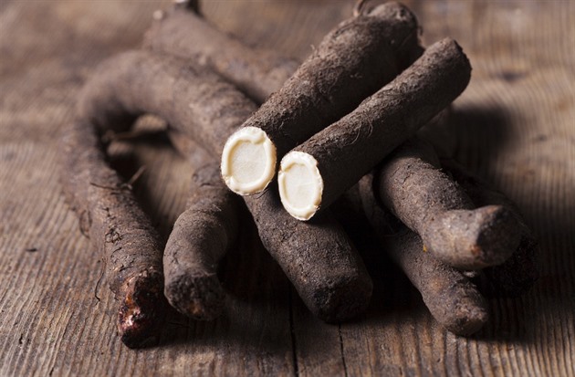 Hadí mord španělský neboli černý kořen: Zapomenutý poklad českých polí