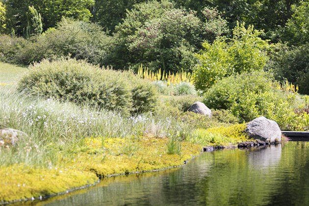 Botanická zahrada a arboretum Mendelovy univerzity v Brn. Objekt výukových...