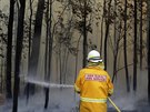 Australský hasi bojuje s ohnm v Novém Jiním Walesu. (8 ledna 2020)