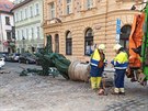 Na Draického námstí v Praze popeláský vz srazil plynovou lampu pouliního...
