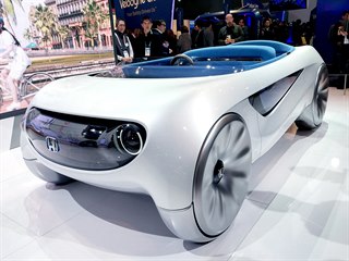 CES