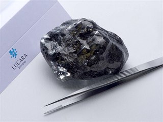 Francouzský módní dům Louis Vuitton koupil druhý největší registrovaný nalezený...