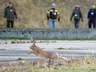 Všichni myslivci museli projít přísným bezpečnostním systémem. Do areálu...