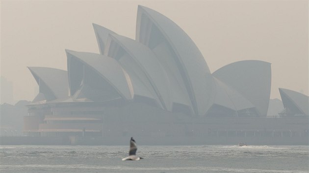 Oblohu nad Sydney asto zahaluje kou z nedalekch por. (19. prosince 2019)