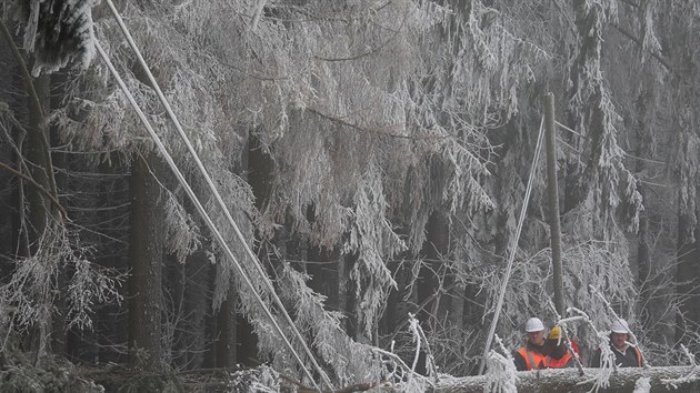 V seku mezi vesnicemi Zho a Stj na Jihlavsku odklzej stromy, kter kvli nmraze a vtru popadaly na vozovku. 