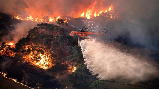 Australští hasiči bojují s požáry nedaleko Bairnsdale. (31. prosince 2019)