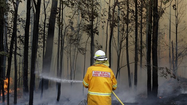 Australsk hasi bojuje s ohnm v Novm Jinm Walesu. (8 ledna 2020)