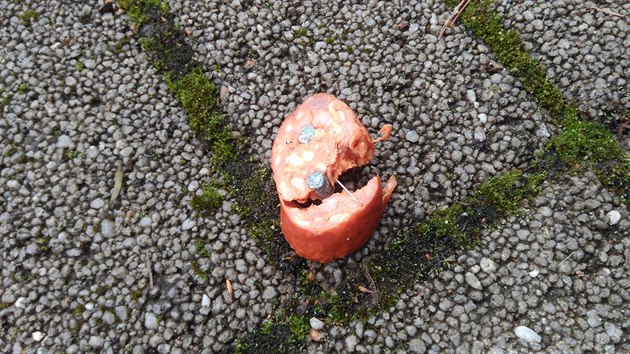 V okol nmst ve Mstiov mstsk policie nalezla nvnady s pravdpodobn jedovatmi granulemi a propchan pendlky.