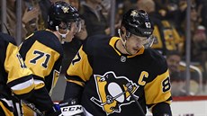 Hokejista Sidney Crosby se po zranní vrátil do NHL, ádil po boku Jevgenije...