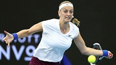 Petra Kvitová ve tvrtfinále na turnaji v Brisbane